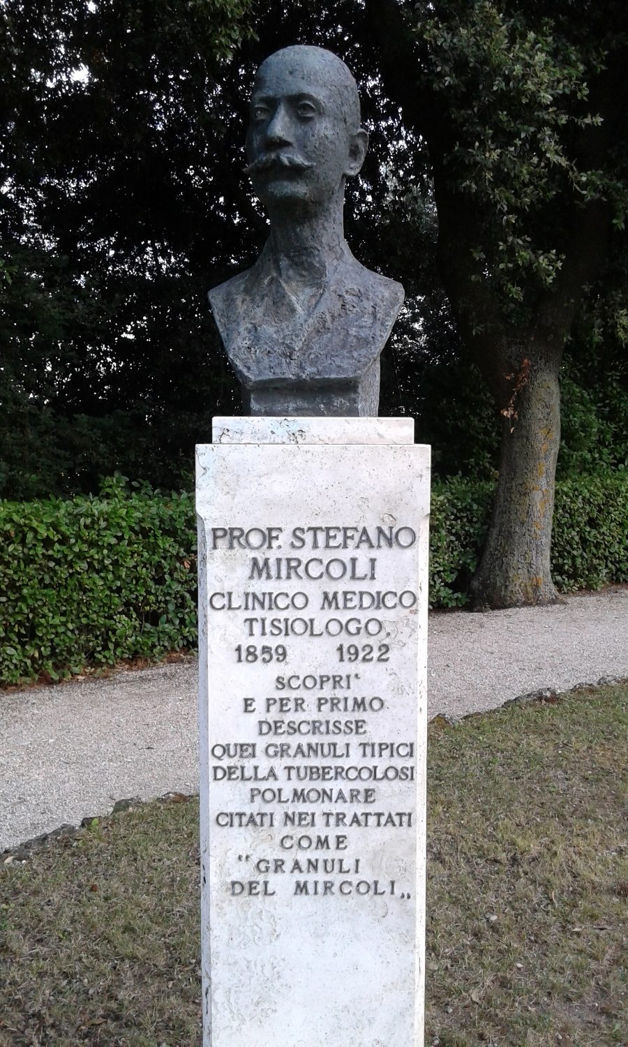 Stefano%20Mircoli%27s%20bust%2C%20Monterubbiano%2C%20Italy%20%28by%20Claudio%20Pensieri%29%20%281%29.jpg